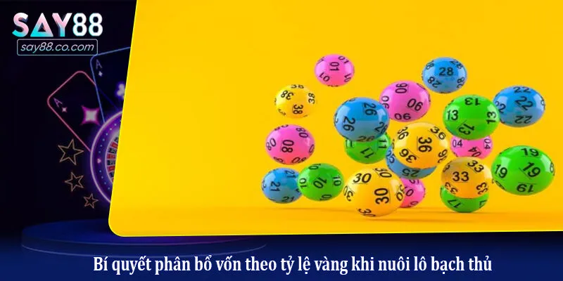 Cách Nuôi Lô Bạch Thủ Giúp Tăng Tỷ Lệ Thắng Lớn Từ Cao Thủ Bí quyết phân bổ vốn theo tỷ lệ vàng khi nuôi lô bạch thủ