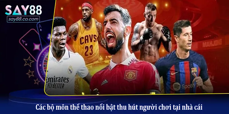 Thể Thao Say88 Các bộ môn thể thao nổi bật thu hút người chơi tại nhà cái