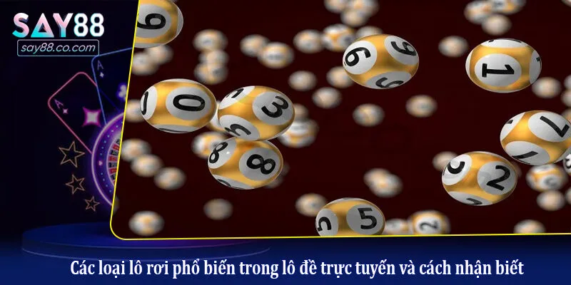 Các loại lô rơi phổ biến trong lô đề trực tuyến và cách nhận biết
