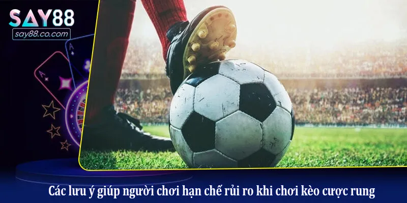 Các lưu ý giúp người chơi hạn chế rủi ro khi chơi kèo cược rung