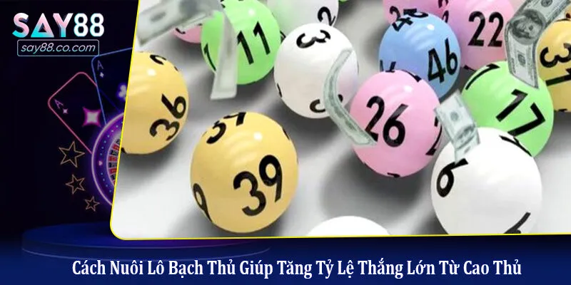 Cách nuôi lô bạch thủ giúp tăng tỷ lệ thắng lớn