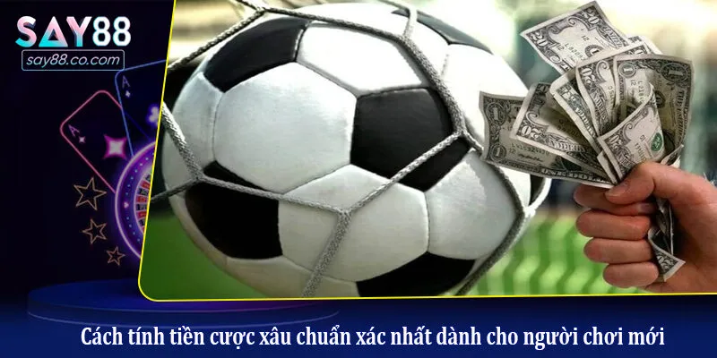 Cược Xâu Bóng Đá Là Gì? Hướng Dẫn Cách Chơi Cược Xâu Tại Nhà Cái Say88 Cách tính tiền cược xâu chuẩn xác nhất dành cho người chơi mới