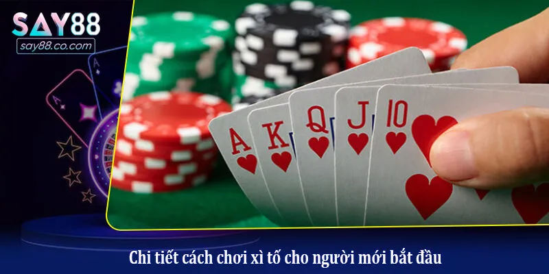 Cách Chơi Xì Tố - Luật Chơi Cơ Bản Và Mẹo Bịp Đối Thủ Chi tiết cách chơi xì tố cho người mới bắt đầu