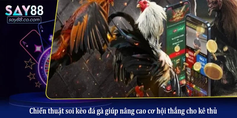 Đá Gà Say88 Chiến thuật soi kèo đá gà giúp nâng cao cơ hội thắng cho kê thủ