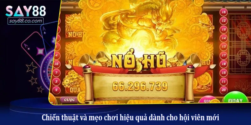 Chiến thuật và mẹo chơi hiệu quả dành cho hội viên mới