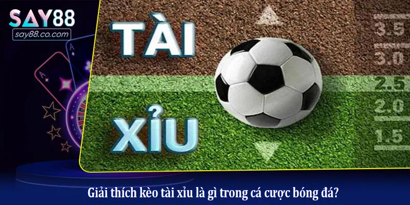 Kèo Tài Xỉu Là Gì? Hướng Dẫn Đọc Kèo Và Đặt Cược Chuẩn Xác Giải thích kèo tài xỉu là gì trong cá cược bóng đá?