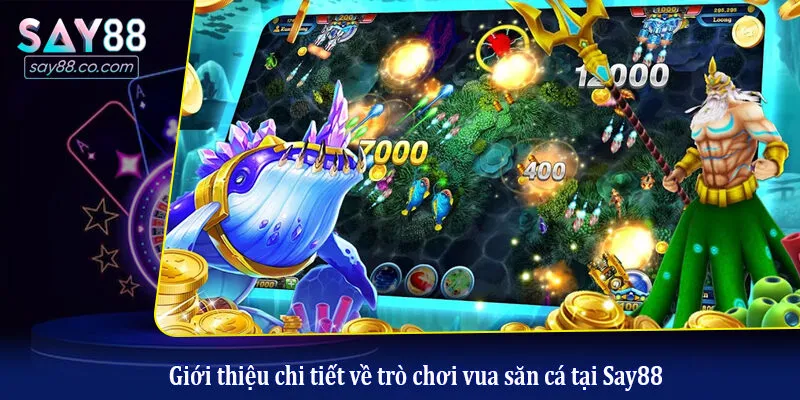 Vua Săn Cá - Sân Chơi Giải Trí Đổi Thưởng Đẳng Cấp Nhất 2026 Giới thiệu chi tiết về trò chơi vua săn cá tại Say88