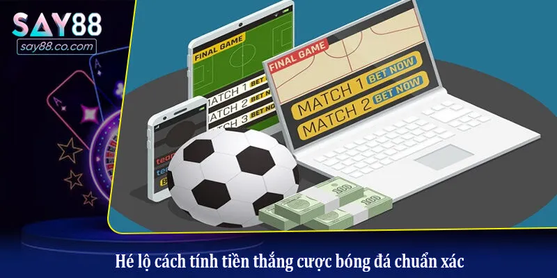 Cách Tính Tiền Thắng Cược Bóng Đá Chính Xác Nhất Cho Người Mới Hé lộ cách tính tiền thắng cược bóng đá chuẩn xác