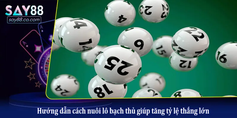 Cách Nuôi Lô Bạch Thủ Giúp Tăng Tỷ Lệ Thắng Lớn Từ Cao Thủ Hướng dẫn cách nuôi lô bạch thủ giúp tăng tỷ lệ thắng lớn