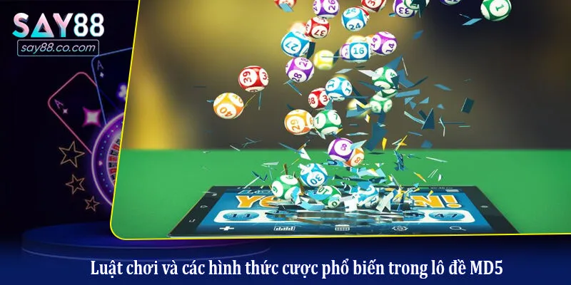 Lô Đề Siêu Tốc MD5: Xu Hướng Chơi Số Xanh Chín, Nhận Thưởng Lớn Luật chơi và các hình thức cược phổ biến trong lô đề MD5