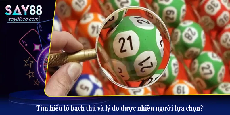 Cách Nuôi Lô Bạch Thủ Giúp Tăng Tỷ Lệ Thắng Lớn Từ Cao Thủ Tìm hiểu lô bạch thủ và lý do được nhiều người lựa chọn?