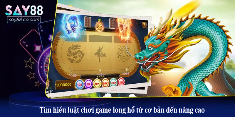 Tìm hiểu luật chơi game long hổ từ cơ bản đến nâng cao