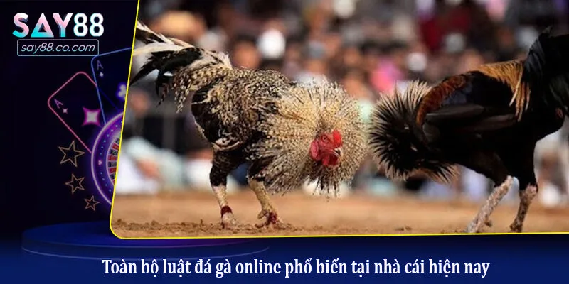 Luật Chơi Đá Gà Chi Tiết Từ A-Z Giúp Người Mới Nắm Chắc Phần Thắng Toàn bộ luật đá gà online phổ biến tại nhà cái hiện nay