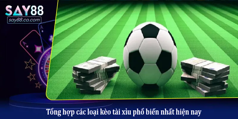 Kèo Tài Xỉu Là Gì? Hướng Dẫn Đọc Kèo Và Đặt Cược Chuẩn Xác Tổng hợp các loại kèo tài xỉu phổ biến nhất hiện nay