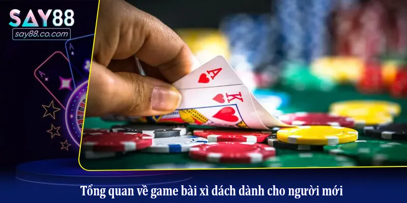 Tổng quan về game bài xì dách dành cho người mới