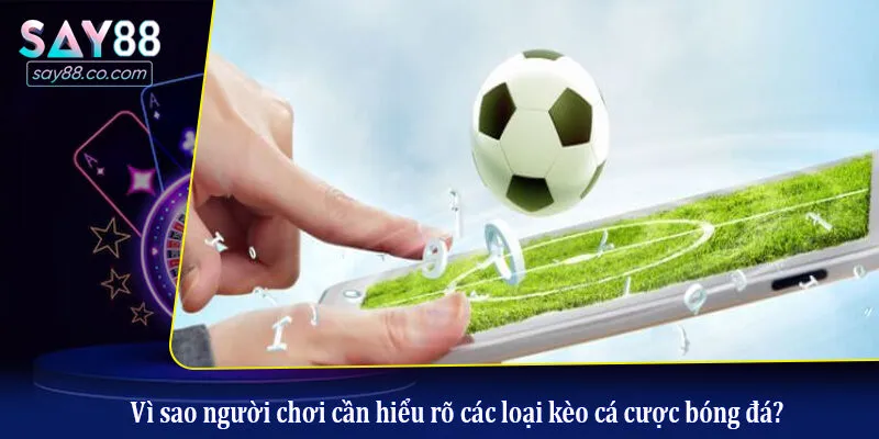 Các Loại Kèo Cá Cược Bóng Đá Phổ Biến - Cẩm Nam Toàn Tập Từ A Đến Z Vì sao người chơi cần hiểu rõ các loại kèo cá cược bóng đá?